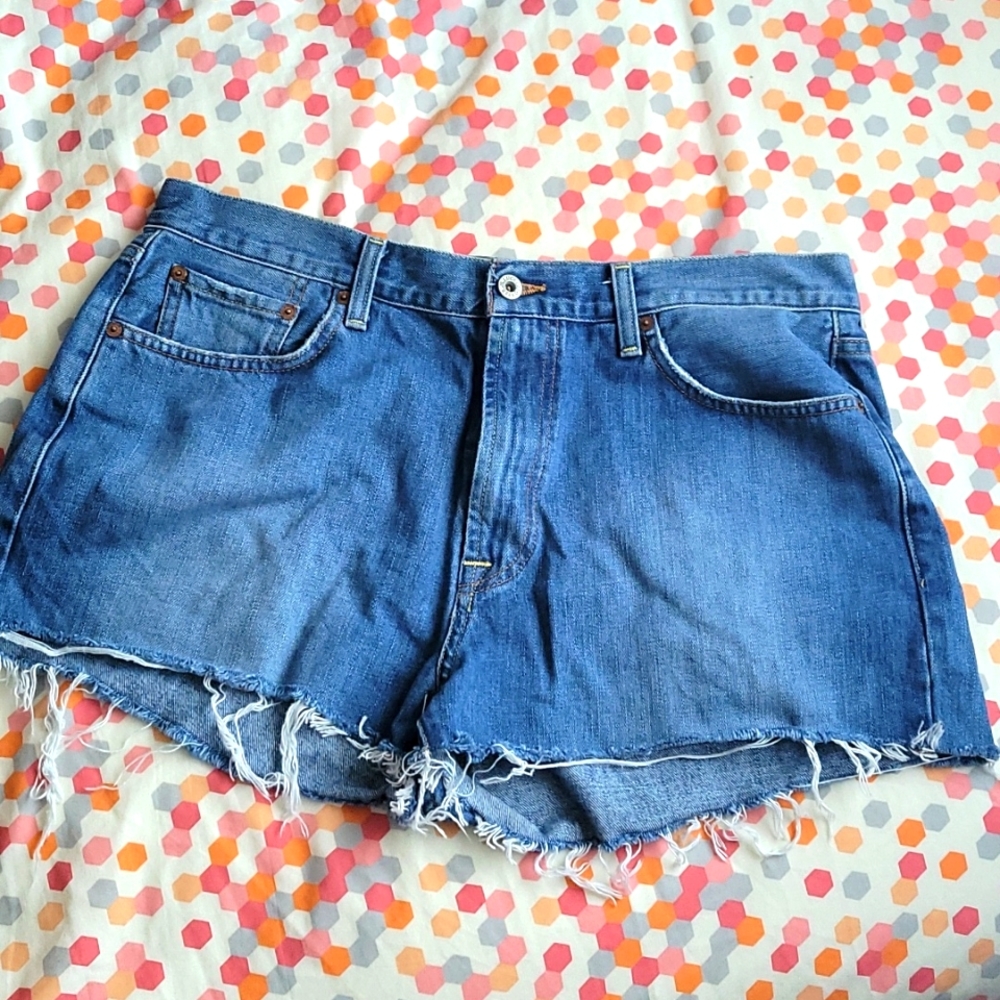 Lucky Brand Denim Shorts